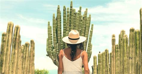 single reis mexico|20 Best Solo Travel Mexico Destinations to Visit in 2024